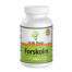 Earths Design Forskolin Extract Supplement