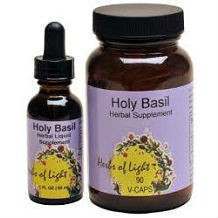 Herbs Of Light Holy Basil Review