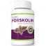 Vitality Max Labs Pure Forskolin supplement Review